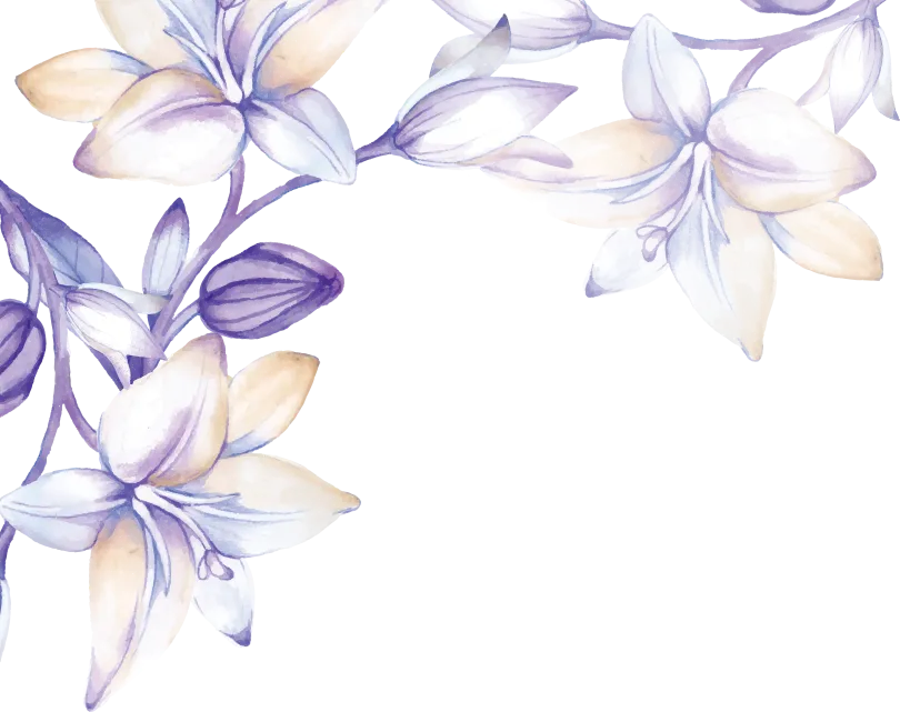 Flores